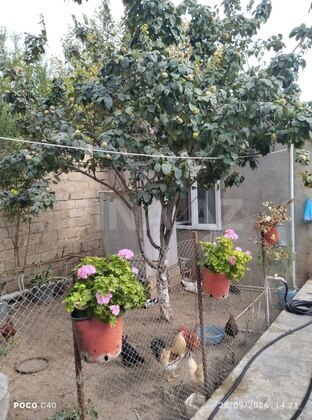 6 otaqlı Həyət evi/Bağ evi, Bülbülə q., Bakı