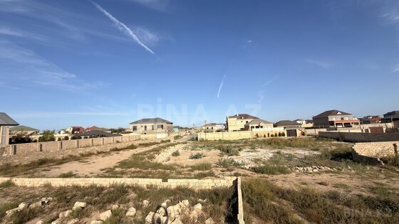 Torpaq Nardaran q., Bakı