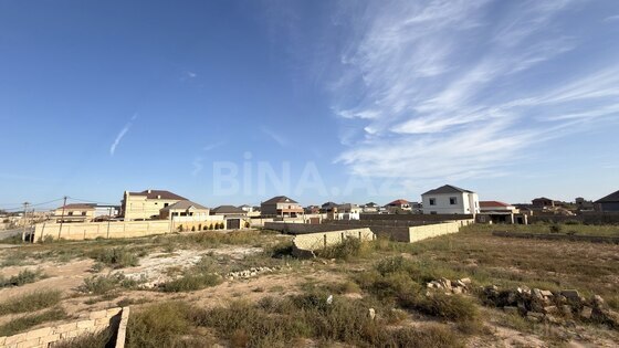 Torpaq Nardaran q., Bakı