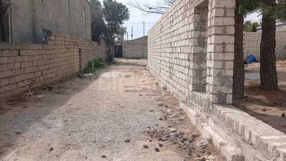 Torpaq Nardaran q., Bakı