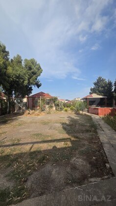 Torpaq Qala q., Bakı
