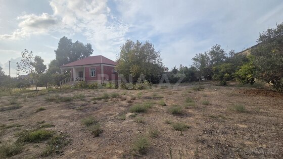 Torpaq Qala q., Bakı