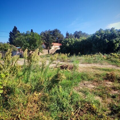 Torpaq Görədil q., Bakı