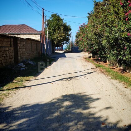 Torpaq Görədil q., Bakı