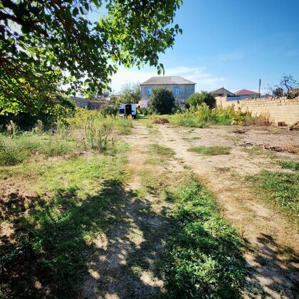 Torpaq Görədil q., Bakı
