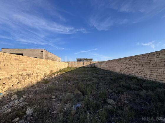Torpaq Nardaran q., Bakı