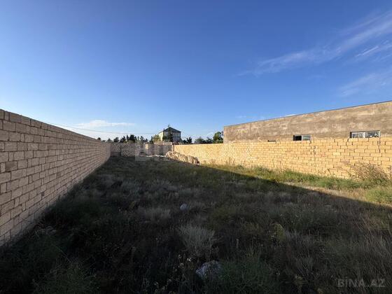 Torpaq Nardaran q., Bakı