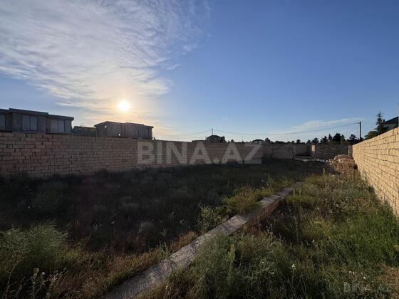 Torpaq Nardaran q., Bakı