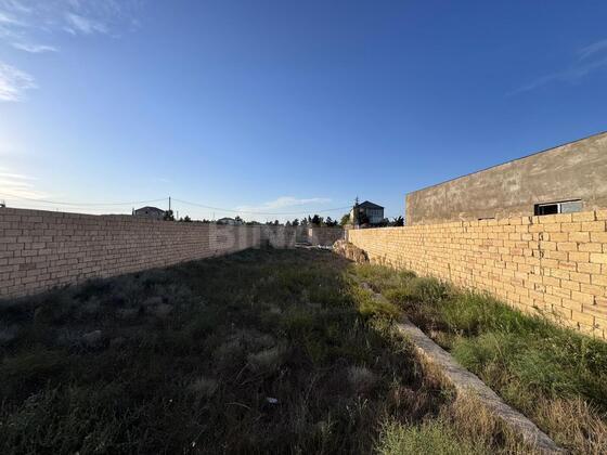 Torpaq Nardaran q., Bakı