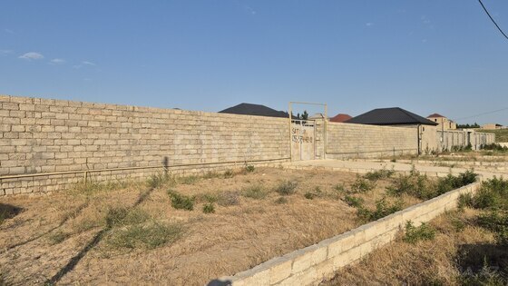 Torpaq Dübəndi q., Bakı