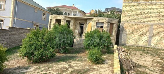 Torpaq Badamdar q., Bakı