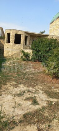 Torpaq Badamdar q., Bakı