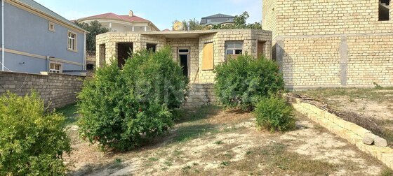 Torpaq Badamdar q., Bakı