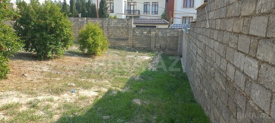 Torpaq Badamdar q., Bakı