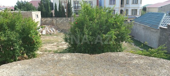 Torpaq Badamdar q., Bakı