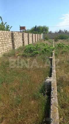 Torpaq Buzovna q., Bakı