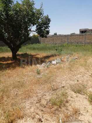 Torpaq Bilgəh q., Bakı