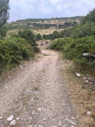Torpaq Şamaxı