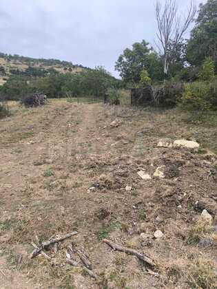 Torpaq Şamaxı