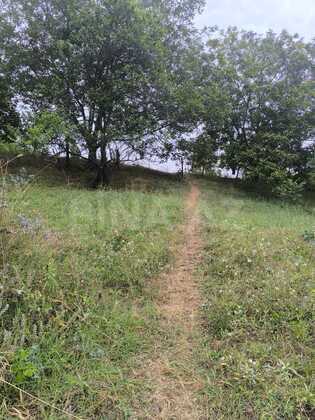 Torpaq Şamaxı