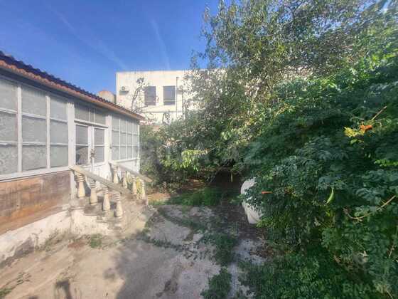 Torpaq Şüvəlan q., Bakı