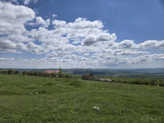 Torpaq Şamaxı