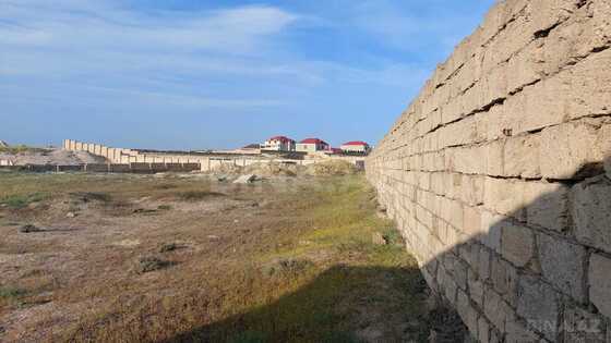 Torpaq Görədil q., Bakı