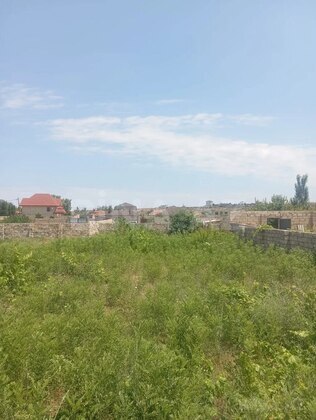 Torpaq Nardaran q., Bakı