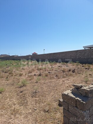 Torpaq Türkan q., Bakı
