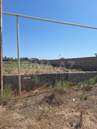 Torpaq Türkan q., Bakı