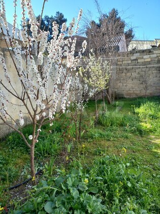 2 otaqlı Həyət evi/Bağ evi, Avtovağzal m., Bakı