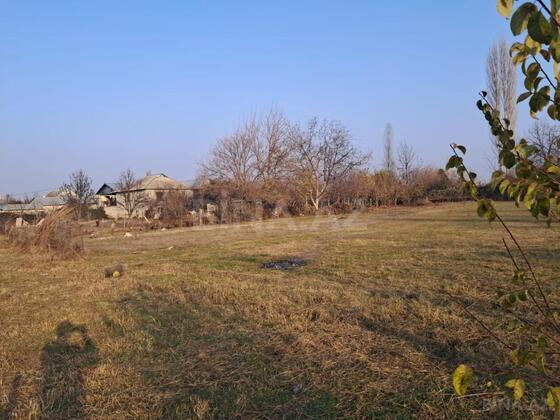 Torpaq Göyçay