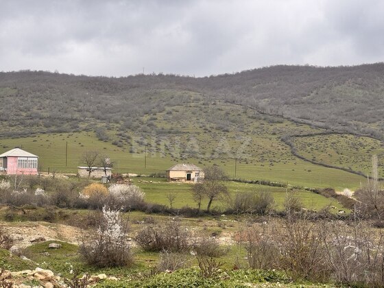 Torpaq Şabran