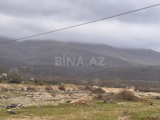 Torpaq Şabran