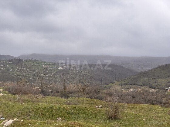 Torpaq Şabran