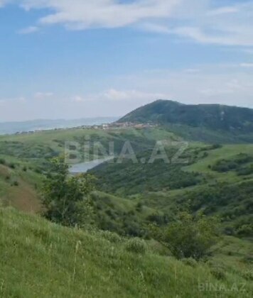 Torpaq Şamaxı