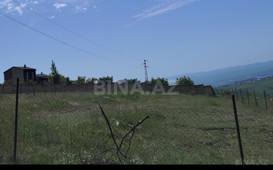 Torpaq Şamaxı