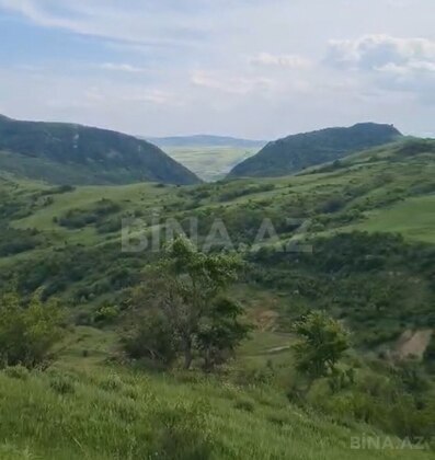 Torpaq Şamaxı
