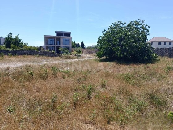 Torpaq Bilgəh q., Bakı