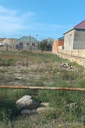 Torpaq Biləcəri q., Bakı
