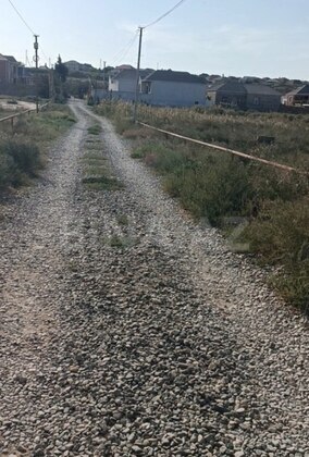 Torpaq Biləcəri q., Bakı