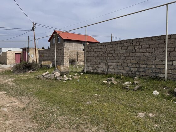 Torpaq Nardaran q., Bakı