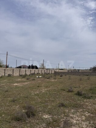 Torpaq Nardaran q., Bakı