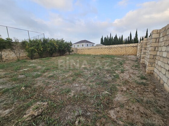 Torpaq Novxanı q., Bakı