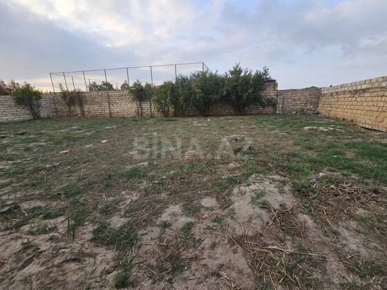 Torpaq Novxanı q., Bakı