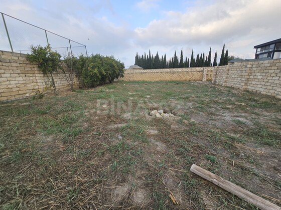 Torpaq Novxanı q., Bakı