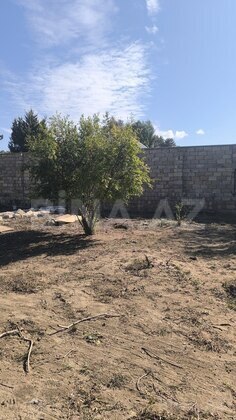 Torpaq Novxanı q., Bakı