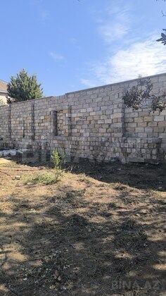 Torpaq Novxanı q., Bakı
