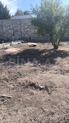 Torpaq Novxanı q., Bakı
