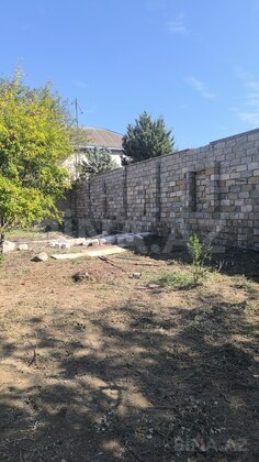 Torpaq Novxanı q., Bakı